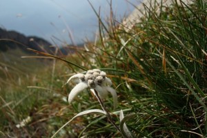 Cabane des Audannes 10-11 septembre 2016