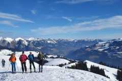 IMG-20250209-WA0053