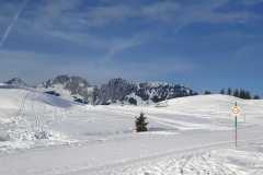 IMG-20250209-WA0056
