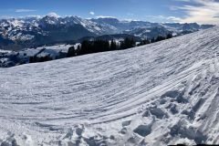 IMG-20250209-WA0058