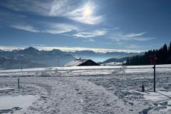 IMG-20250209-WA0061