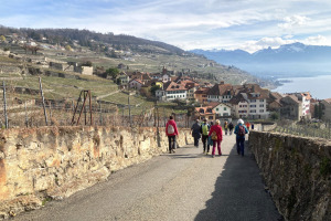 LAVAUX  3 MARS 2024