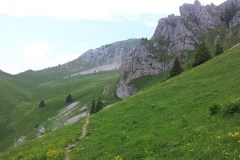 2013-07-08-14_55_58