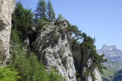 26.07.05.11