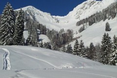 2013-02-10-10_06_14