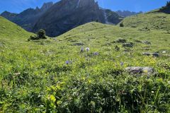 IMG-20240715-WA0005