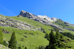 P7140357