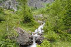 P7140380
