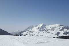 IMG-20260307-WA0003